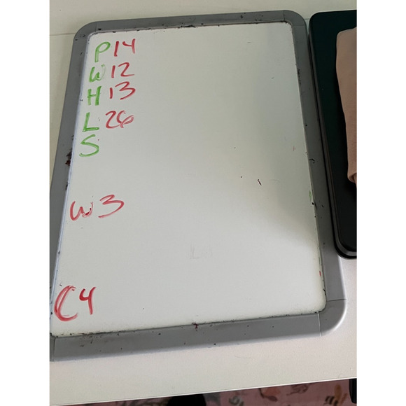 Sheer Nude Sleeveless Bodysuit Applied Rose Applique on Chest Bust 28 (XXS) - Picture 8 of 8